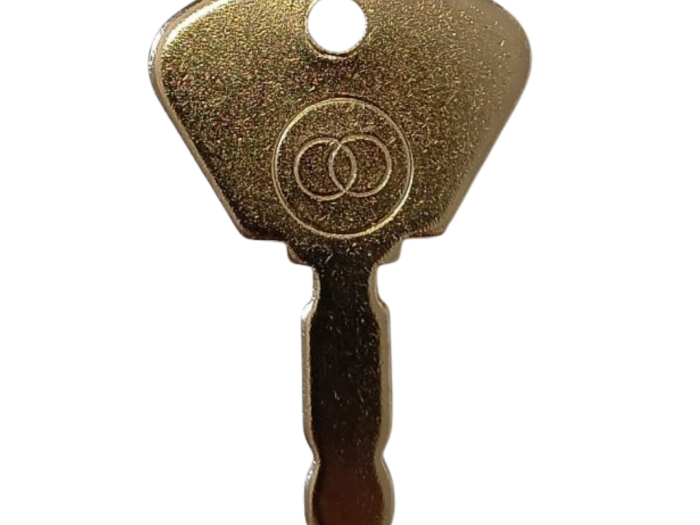 Ignition key - 1260070284